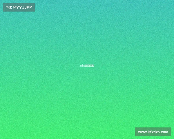 nba赛事评估报告