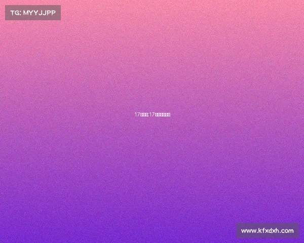 17号赛事;17号赛事安排表